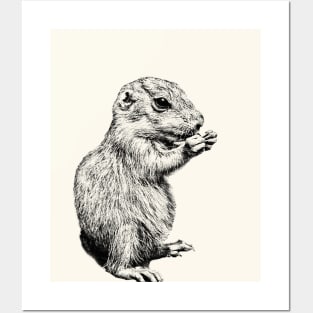 Prairie dog cub Posters and Art